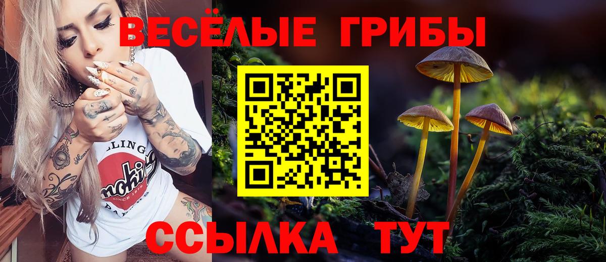 Псилоцибиновые грибы Magic Shrooms Ижевск