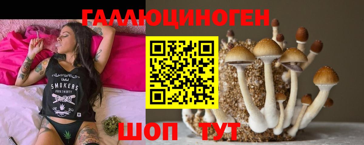 Ижевск  магазин продажи наркотиков  Вход с VPN  Псилоцибиновые грибы MAGIC MUSHROOMS 